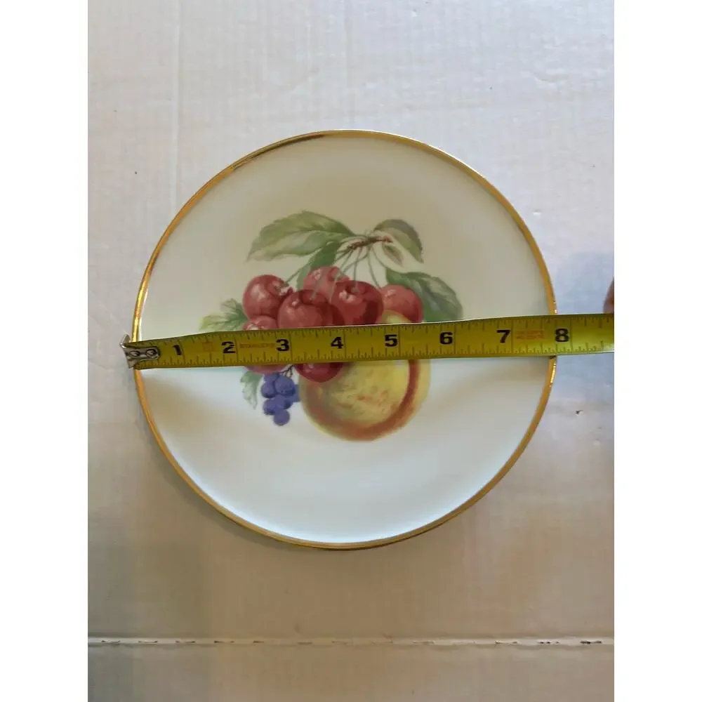 Vtg PORZELLANFABRIK ARZBERG Set Of 2 FRUIT 8” PLATES Wall Bone China Gold Rim